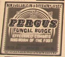 Fergus_Fungal_Budge.JPG