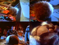 Mogwai birth