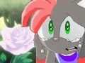 131sharna.jpg