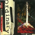 Duran-Duran-Ordinary