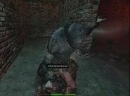 Hunter-zoeypounce