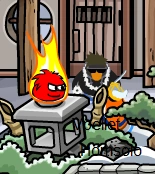 Black puffle sighting 3