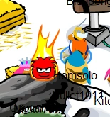 Black puffle sighting 4