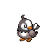 Starly HGSS