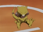 EP022 Abra