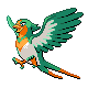 Swellow HGSS variocolor