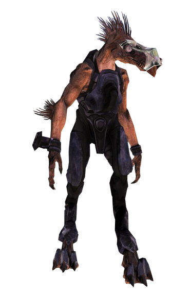 http://images3.wikia.nocookie.net/__cb20090914050254/halo/images/thumb/7/78/JackalSniper.png/370px-JackalSniper.png