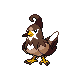 Staravia HGSS variocolor hembra