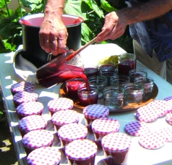 Erdbeermarmelade1