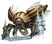 SiegeBeetle