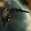 Taranis