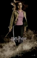 PosterHP4 Hermione3.jpg