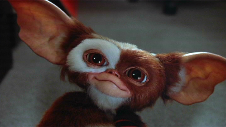 733px-Gizmo.PNG