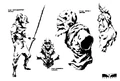 Fortress - Fishy Armor.jpg