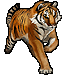 Item siberian tiger 75x75 03