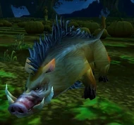 Porcine Entourage.jpg
