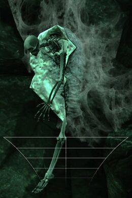 Arkmanskillermoth big2--article image
