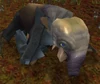Trapped Mammoth Calf