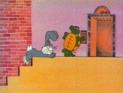 Rabbitturtle40steps