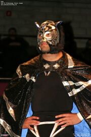 Black Tiger