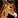 IconSmall Giraffe.gif