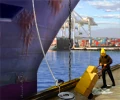 Shipping Company