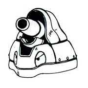 Blastoide