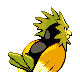 Spearow espalda G4 variocolor
