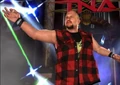 Brother Ray TNA Video Game.jpg