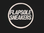 Flapsole4