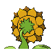 Sunflora espalda G4