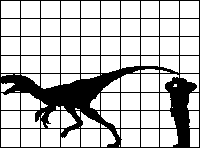 Eotyrannus lengte