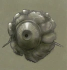 Synth Scanner