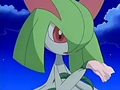 EP423 Kirlia contemplando la flor.png