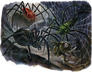 Spiders
