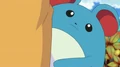 EP606 Marril escondida.png
