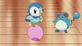 EP606 Piplup y Marill jugando.png
