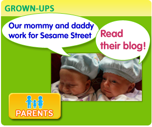SesameFamilyRobinson-Ad