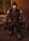 Farseer Eannu