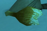 Stolen Tallstrider Leg.jpg