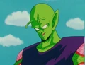 Piccolo6