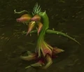 Bloodpetal Pest.jpg