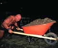 Buried Alive Austin.jpg
