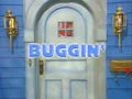 01 Buggin' Title Display.jpg