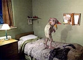 Dobby2.jpg