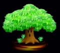 WhispyWoodsTrophy