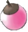 PinkApricorn.jpg