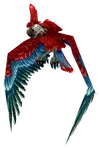 Parrot