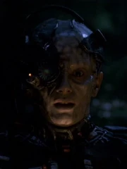 Three of Nine.jpg