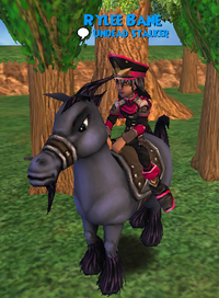 Mount Black Stallion